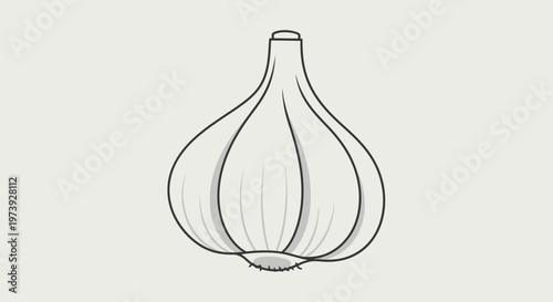 Garlic Bulb Simple Line Art Illustration.