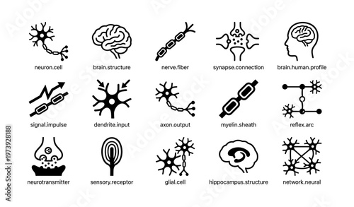 Neural structures and connections illustrated: neuron, synapse, brain, neural network, neurotransmitter