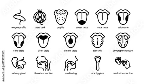 Taste profiles and oral anatomy: icon set with tongue function and medical aspects