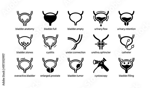 Bladder health icons: anatomy, stones, cystitis, prostate, cystoscopy, urinary issues
