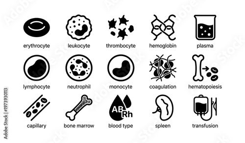 Hematology symbols: erythrocyte, leukocyte, thrombocyte, hemoglobin, plasma