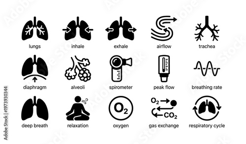 Lung function and breathing process icons: inhale, exhale, trachea, alveoli