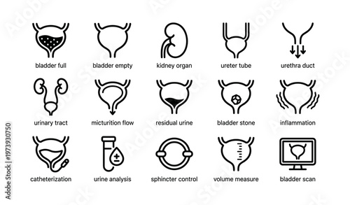 Urinary system icons: bladder, kidney, urethra, urinary tract, catheterization