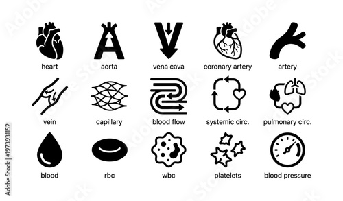 Cardiovascular system icons: heart, arteries, veins, and blood components