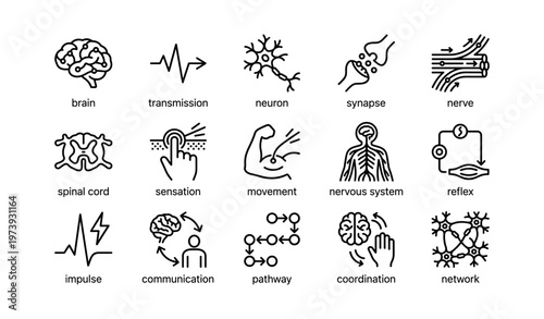 Diagram of human nervous system icons featuring brain neurons and communication pathways