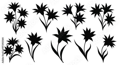 Adobe Illustrator Artwork