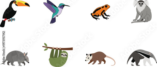 Exotic Animals and Birds Vector Illustration Set Featuring Toucan, Hummingbird, Frog, Koala, Sloth, Armadillo, Anteater, and Opossum in Flat Cartoon Style.