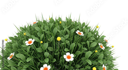 Green Bush with White and Orange Flowers and Yellow Berries
