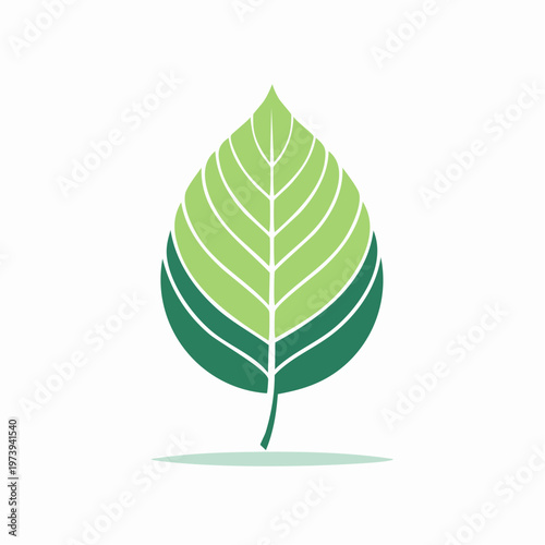 Simple green leaf logo design with natural veins, representing growth and ecology