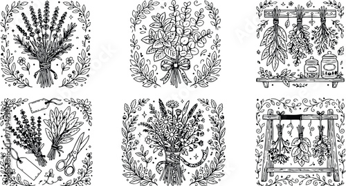 Black and white line art coloring book page set with detailed herbal bouquets scissors hanging dried leaves jars medicinal plants natural hand drawn vector illustrations