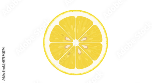 Illustration of a fresh yellow lemon slice isolated on white background