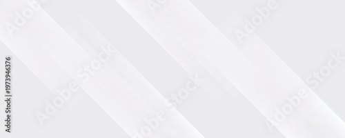 White abstract background. Silver effect texture. Light gray colour textur. Grey platinum pattern. Modern backdrop. Gradient delicate surface print. Design bg for business prints. Vector illustration