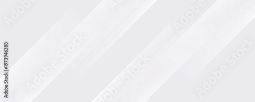 White abstract background. Silver effect texture. Light gray colour textur. Grey platinum pattern. Modern backdrop. Gradient delicate surface print. Design bg for business prints. Vector illustration