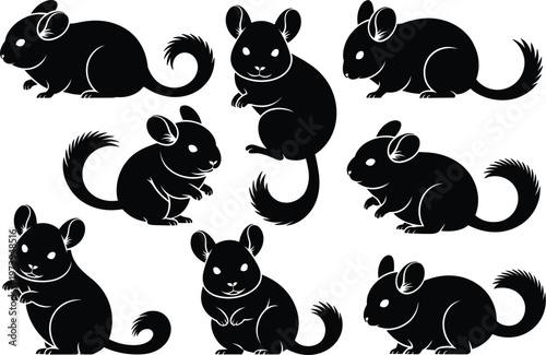 Set of Black Silhouette Chinchillas in Various Poses on White Background rodent animal