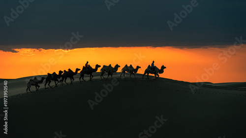Fotografía Caravan of Camels Walking on Sand Dunes at Sunset in Desert