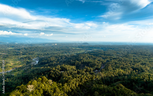 Expansive view of lush greenery under a bright blue sky in a remote tropical landscape