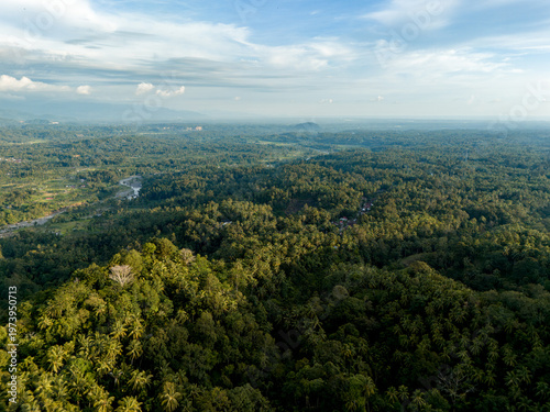 Expansive green landscape unfolds beneath a vibrant sky, capturing the essence of nature's serenity in a tranquil setting