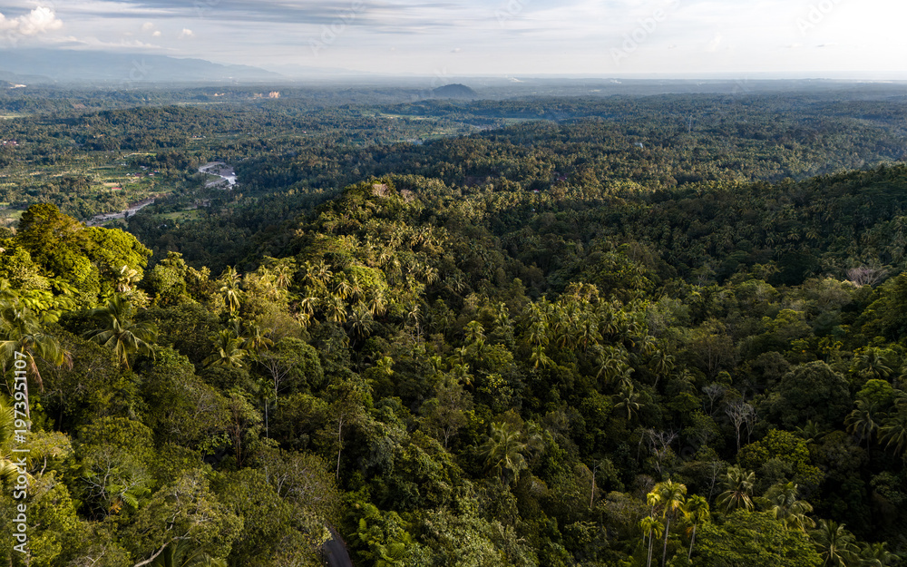 Fototapeta premium Lush green canopy stretches across the hills of Bali under a tranquil sky with a hint of sunlight pouring through