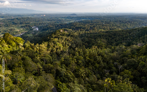 Lush green canopy stretches across the hills of Bali under a tranquil sky with a hint of sunlight pouring through