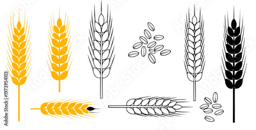 Wheat ears and grains vector set Collection of wheat ears and scattered grains vector illustrations in flat gold, black silhouette, and outline styles