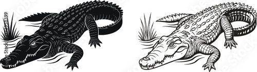 Two crocodiles in water illustration, wildlife predator vector art, dangerous reptile drawing, nature animal design, black and white artwork