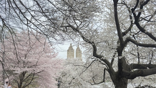 Spring building 