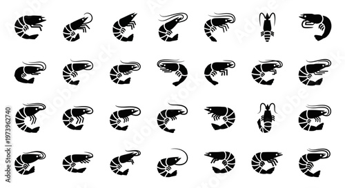 Black and white seashell icons, shell silhouettes, ocean symbol set, 25 vector graphics