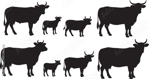 Black cow and calf silhouettes on white background