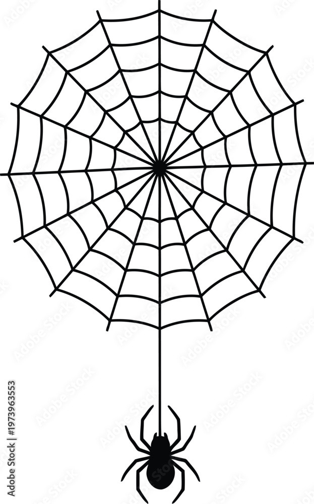 Obraz premium Halloween spider web vector, black cobweb with hanging spider, spooky insect net icon