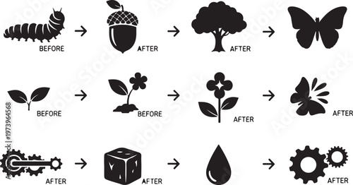 Transformation icons showing growth and change in nature and objects