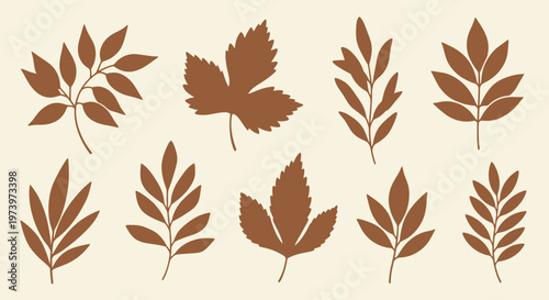 Collection of various autumn leaves in earthy brown tones.