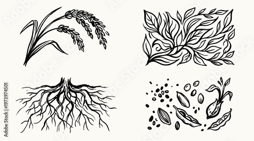 Hand-Drawn Black  White Line Art of Agriculture  Food Botanical Elements