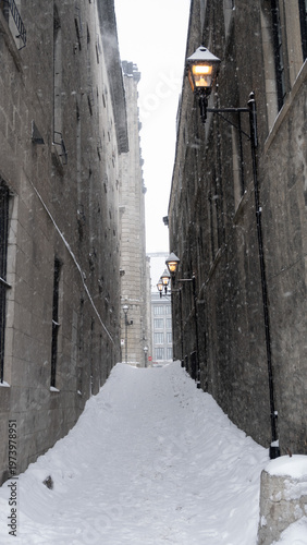 Schilderij op canvas Snowy narrow street with vintage street lamps in old city during winter snowfall