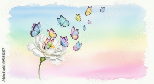 Colorful butterflies flutter gracefully around a single white flower against a soft watercolor background.