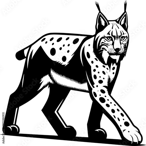 Cute cartoon vector illustration of a Eurasian lynx isolated as a black silhouette art drawing on a white background