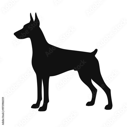 Doberman dog standing side view silhouette vector illustration