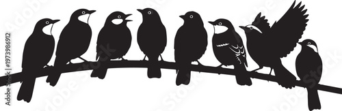 Silhouette of birds perched on a wire together