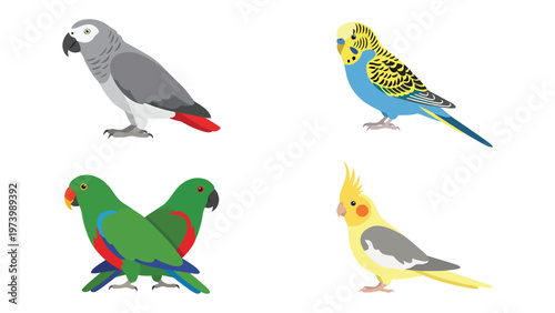 Collection of Popular Pet Parrots and Parakeets Vector Illustrations
