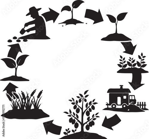 Agricultural cycle from planting to harvesting process stages