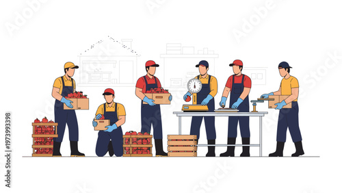 Tomato Harvesting and Processing: A team of dedicated workers efficiently harvest and process fresh tomatoes, highlighting the journey of this essential ingredient from farm to table.