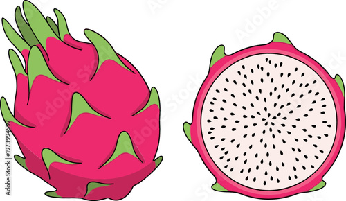 Dragon Fruit and Sliced Pitaya Illustration for Healthy Eating, Tropical Fruits, and Exotic Food Designs