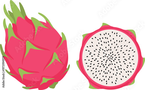 Dragon Fruit Illustration Featuring Whole and Sliced Fruit for Healthy Eating, Tropical Fruits, and Superfoods Designs