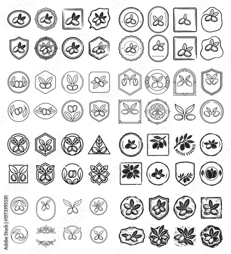 Argan branch and fruit symbols set for natural organic product branding.