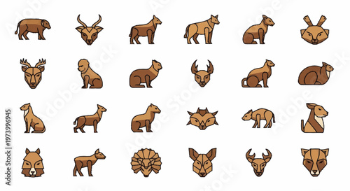 Collection of various wild animal heads.