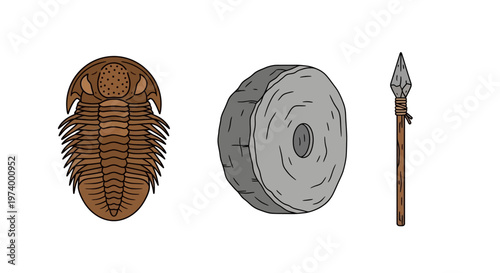 Trilobite fossil stone spear.