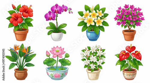 Collection of Eight Tropical and Exotic Potted Plants Illustration Featuring Hibiscus Orchid Plumeria Bougainvillea Bird of Paradise Lotus Jasmine Anthurium