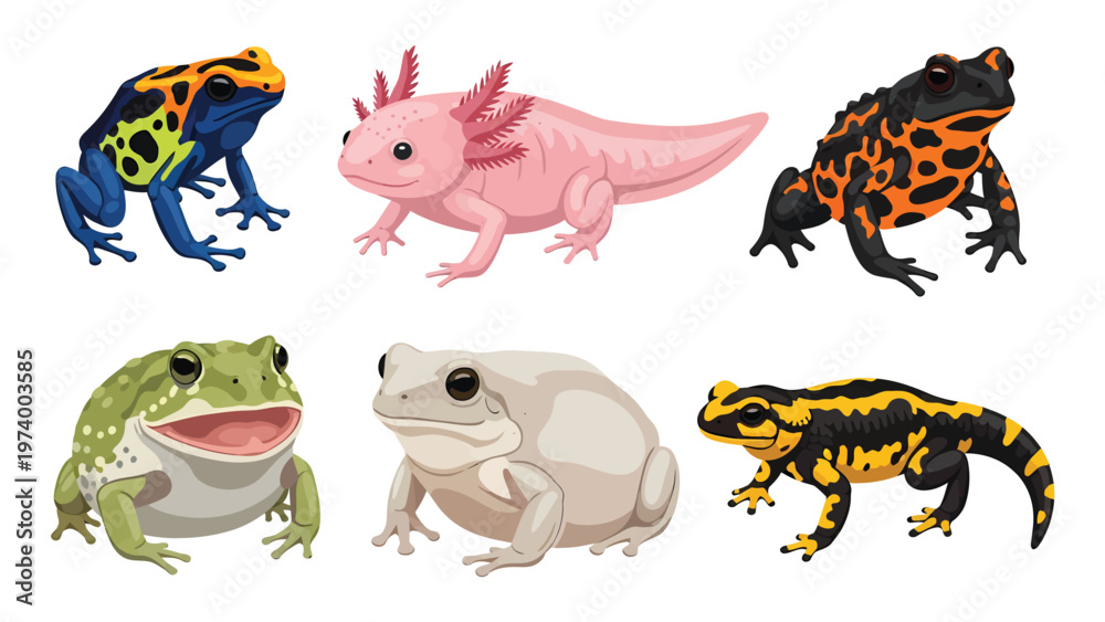 Fototapeta premium Vibrant Amphibian Set: Cartoon Frogs, Axolotl, and Salamander Vector Illustrations