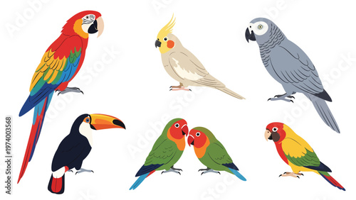 Colorful tropical birds set. Exotic parrots, macaw, toucan, cockatiel, lovebirds vector illustration.