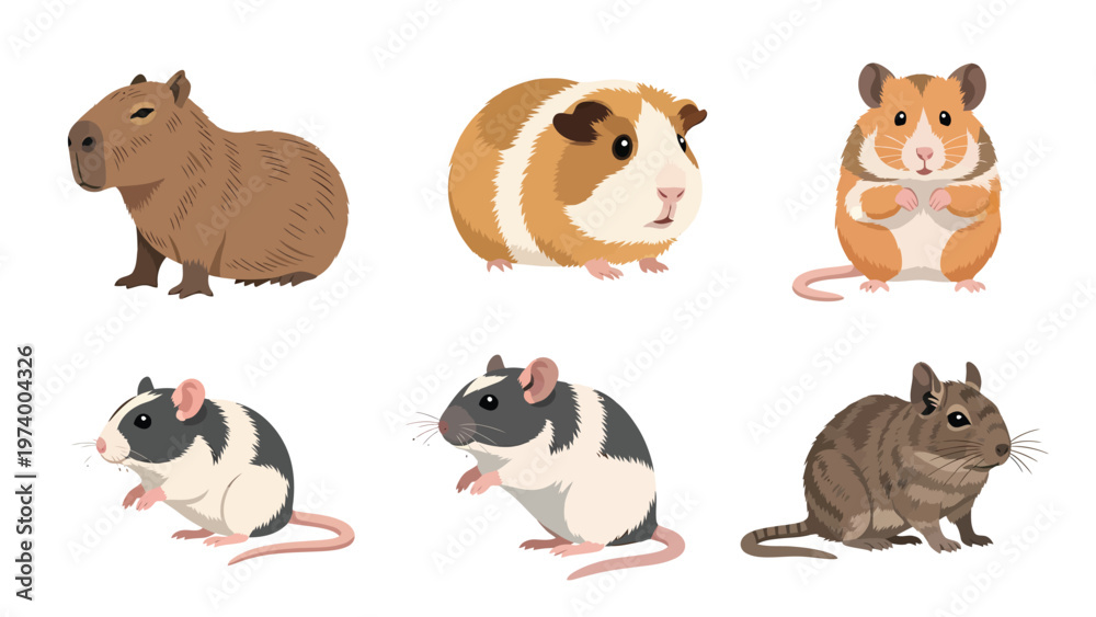 Fototapeta premium Cute Cartoon Pet Rodents Set - Capybara, Guinea Pig, Hamster, Rats & Degu Illustrations