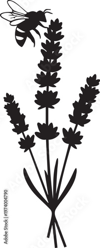 Silhouette of a bee hovering over lavender sprigs on transparent background.